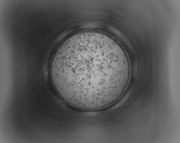 X0000100371017200806271440