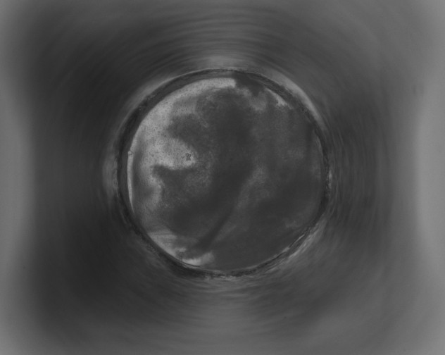 X0000100371019200806271440