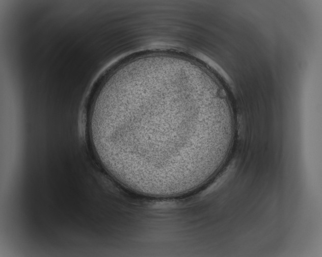 X0000100371021200806271440