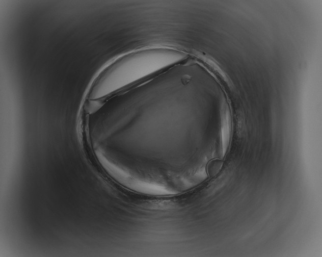 X0000100371024200806271440