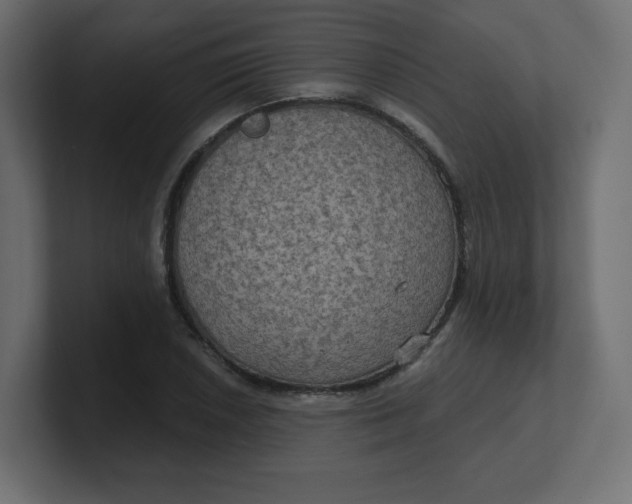 X0000100371026200806271440