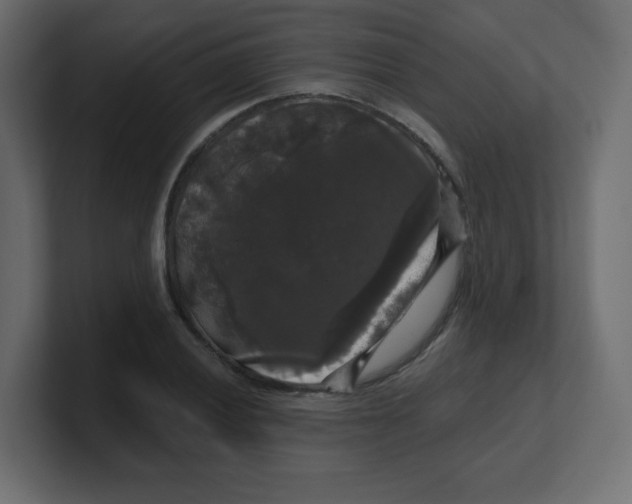 X0000100371028200806271440