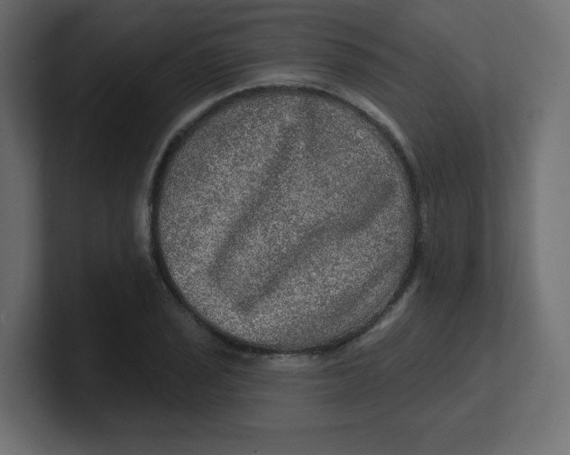 X0000100371029200806271440