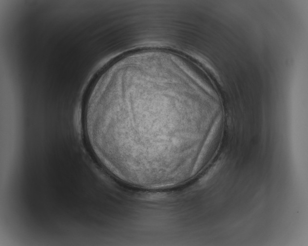 X0000100371030200806271440