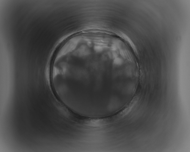 X0000100371035200806271440