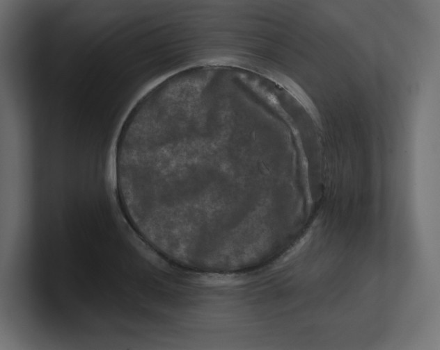 X0000100371036200806271440