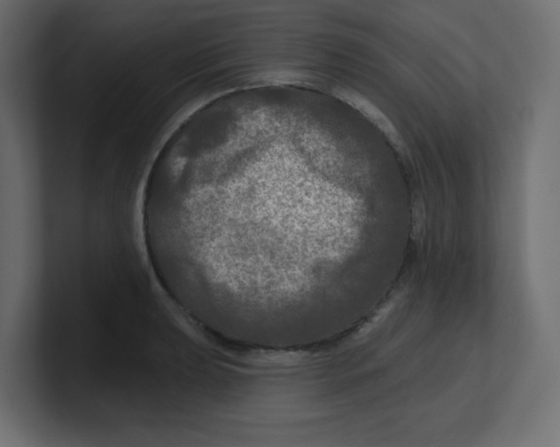 X0000100371039200806271440