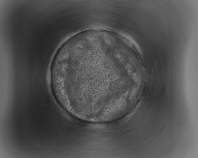 X0000100371040200806271440