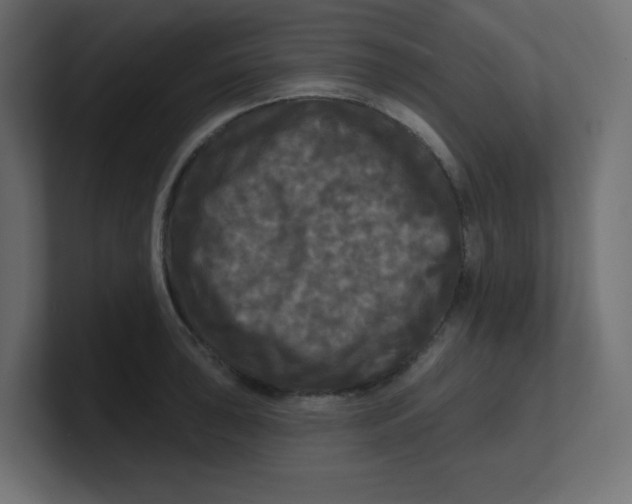 X0000100371043200806271440