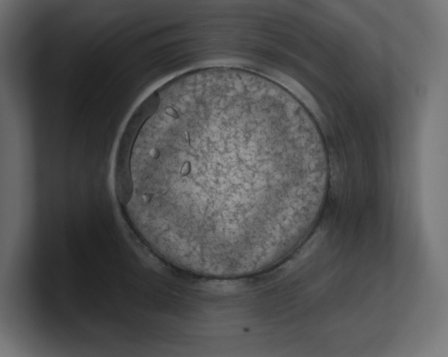 X0000100371044200806271440