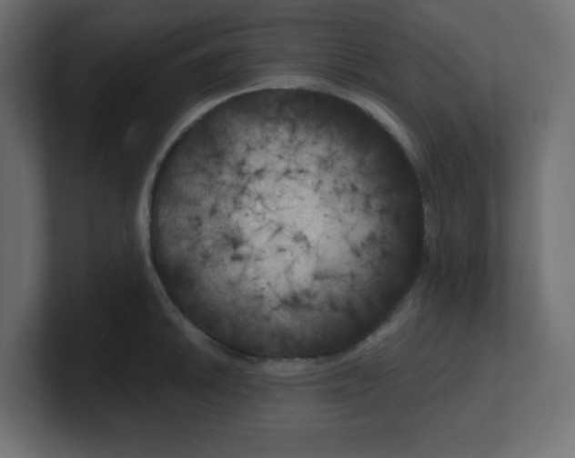 X0000100371046200806271440