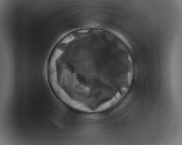 X0000100371047200806271440