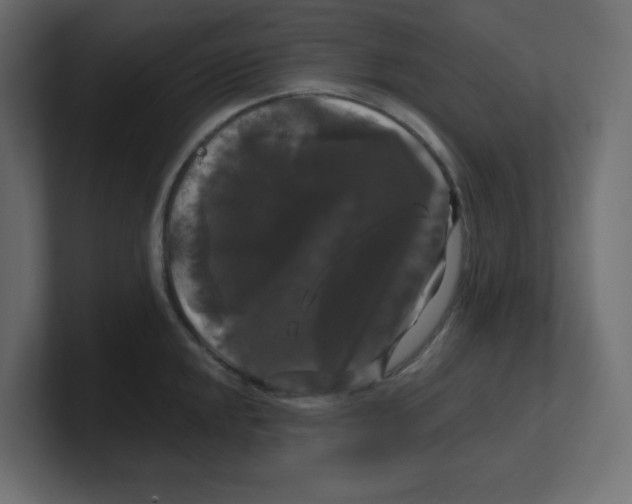 X0000100371048200806271440