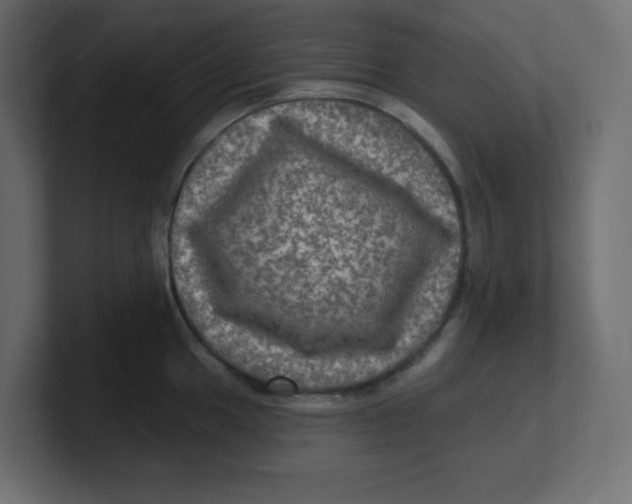 X0000100371049200806271440