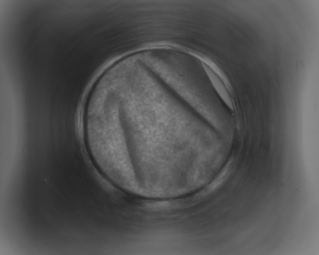 X0000100371054200806271440