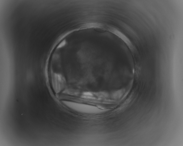 X0000100371055200806271440