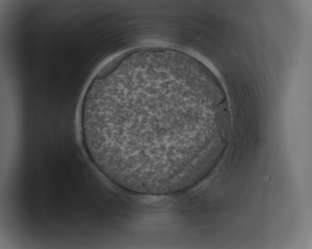 X0000100371056200806271440