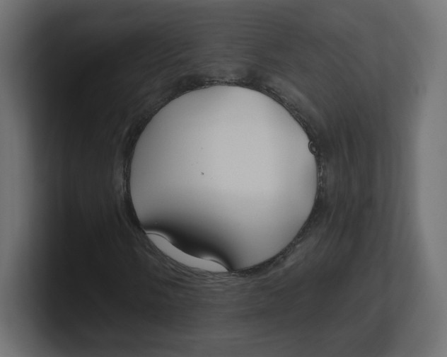 X0000100371058200806271439