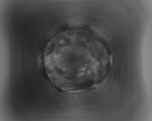 X0000100371059200806271439