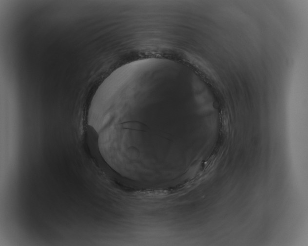 X0000100371060200806271439