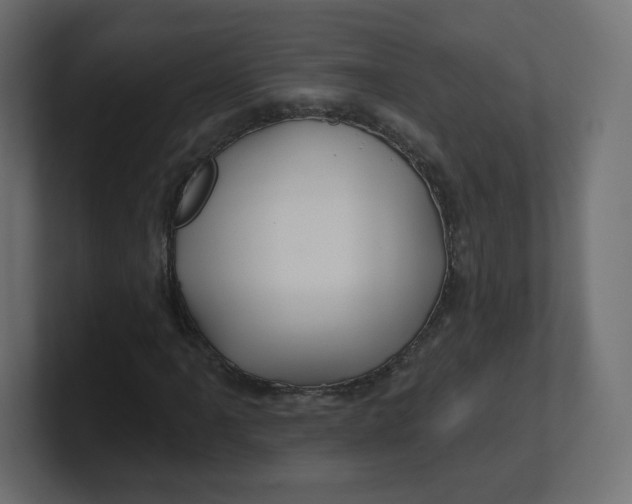 X0000100371061200806271439