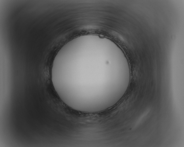 X0000100371062200806271439