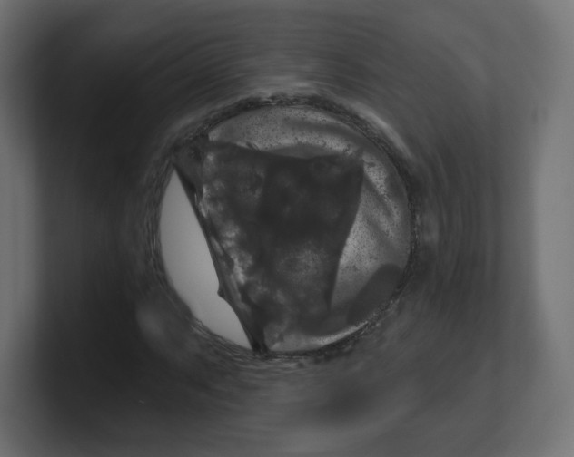 X0000100371063200806271439