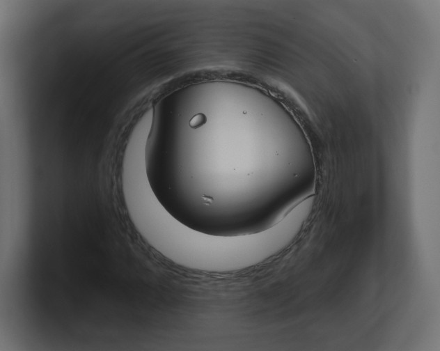 X0000100371064200806271439