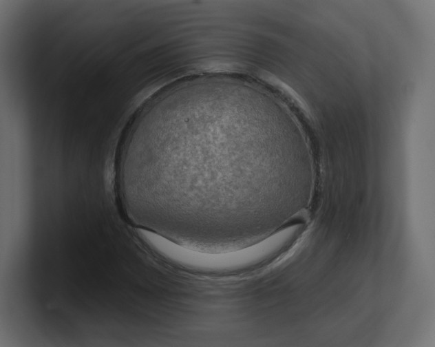 X0000100371065200806271439