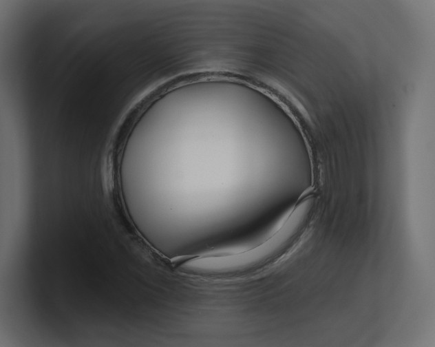 X0000100371069200806271439