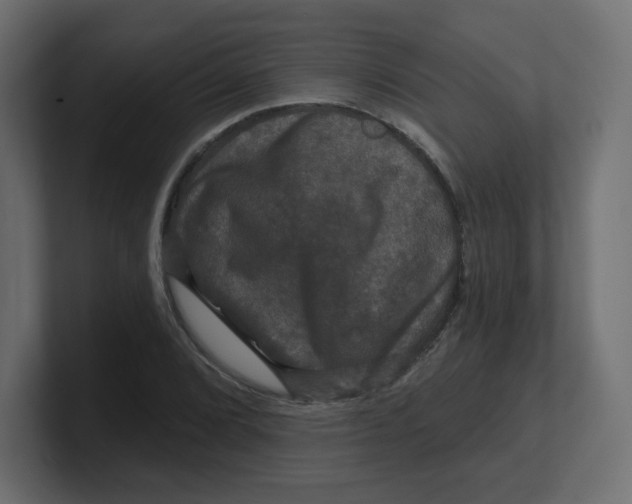 X0000100371072200806271439