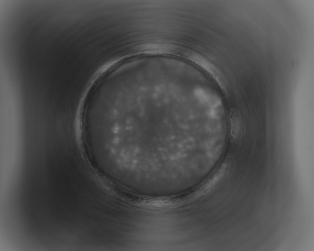 X0000100371074200806271439