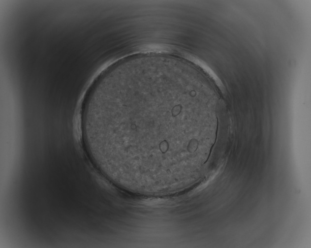 X0000100371075200806271439