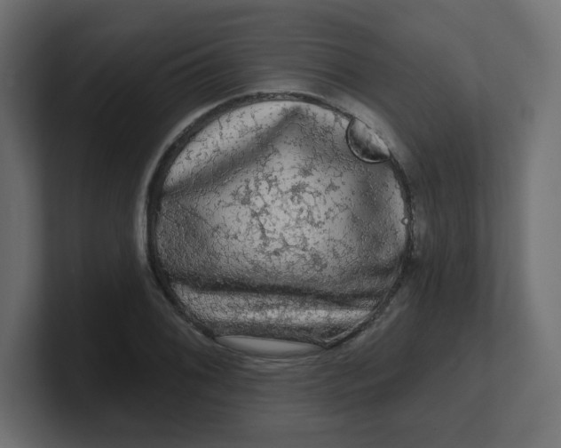 X0000100371076200806271439