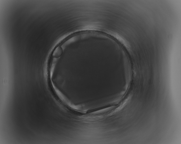 X0000100371077200806271439