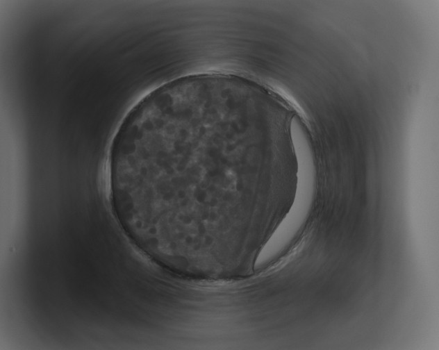 X0000100371079200806271439