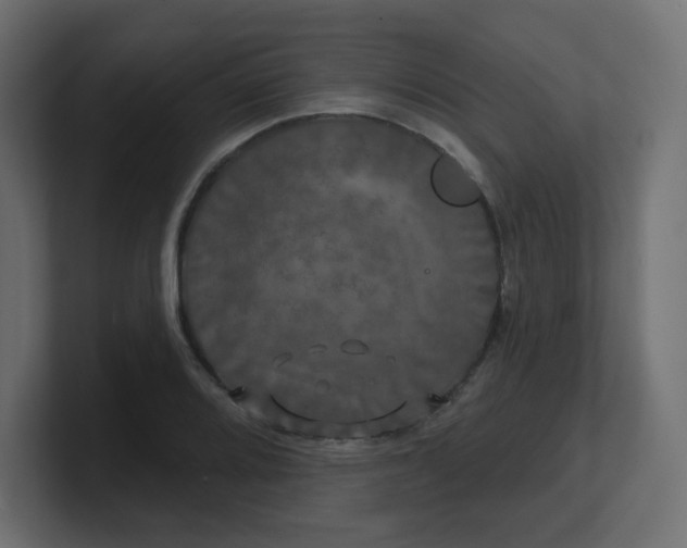 X0000100371080200806271439