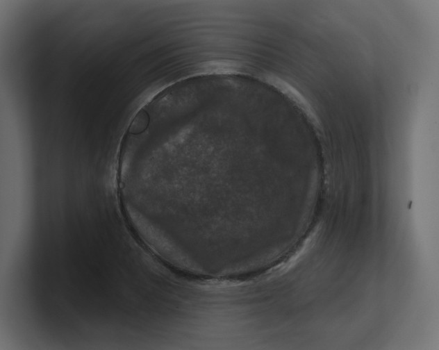 X0000100371081200806271439