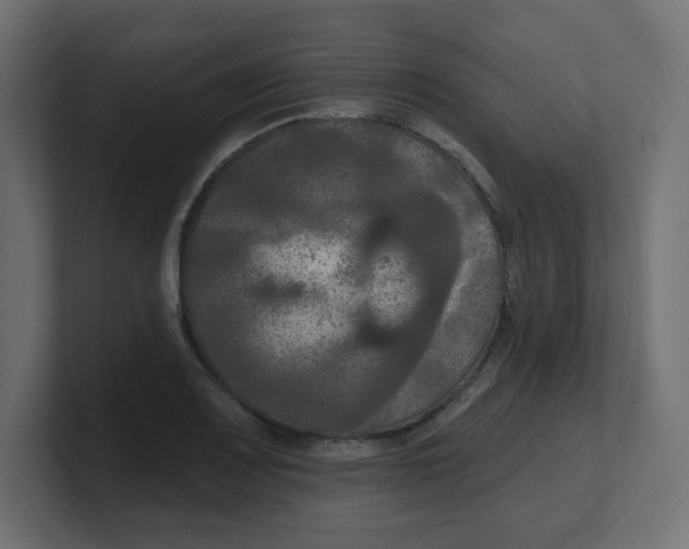 X0000100371083200806271439