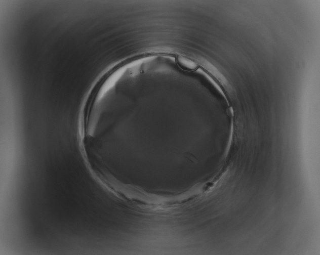 X0000100371084200806271439