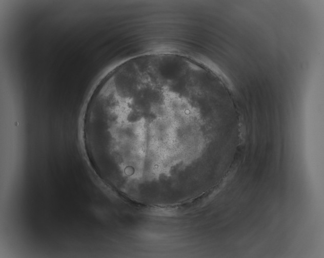 X0000100371086200806271439