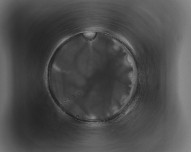 X0000100371087200806271439