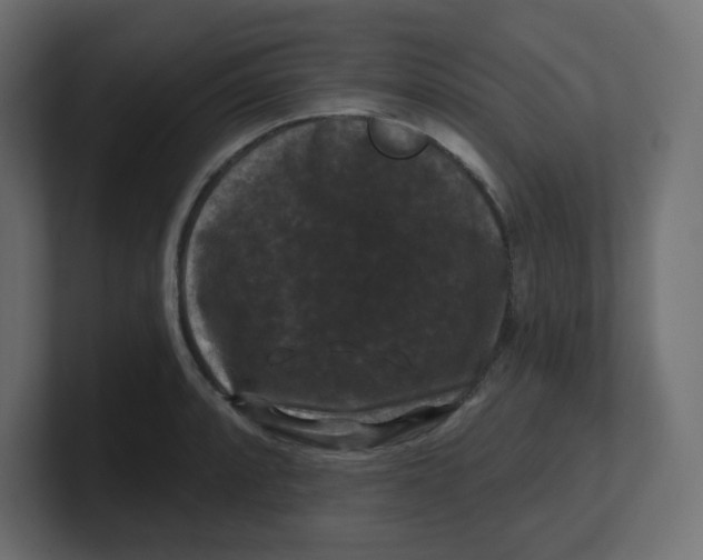 X0000100371088200806271439