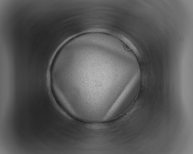 X0000100371092200806271439