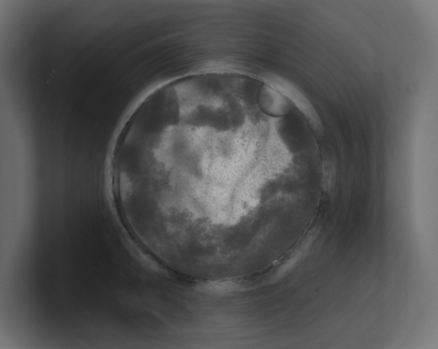 X0000100371094200806271439