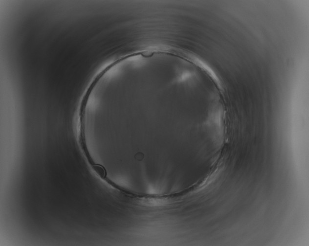 X0000100371095200806271439