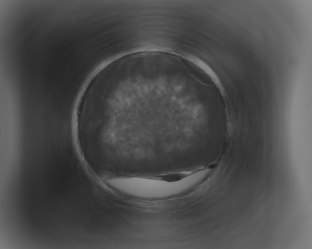 X0000100371096200806271439