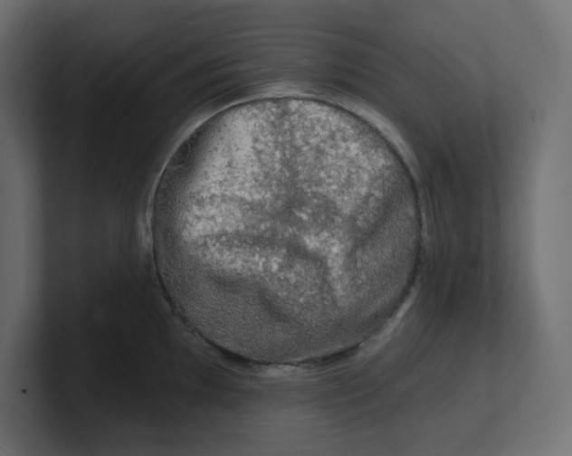 X0000100371097200806271439