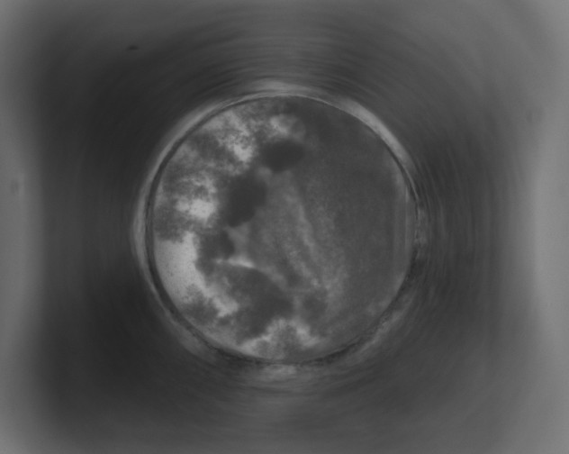 X0000100371098200806271439