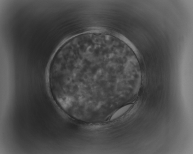 X0000100371099200806271439